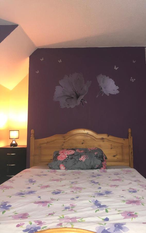 Apartamento Single Large Room Hastings Kültér fotó